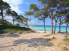 Beautiful greek beach panorama.Halkidiki