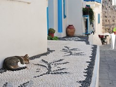 Улица в греческом городе Mandraki с традиционной вулканической мозаикой (и кот) остров Кос