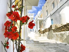 11_Flowers-on-a-Mykonos-street,-Greece