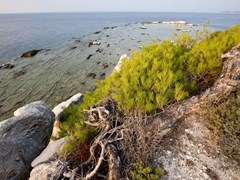37_Blocks-of-marble-in-the-sea-on-Aliki,-Thassos-island,-Greece