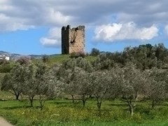 02_ruins-on-a-green-grass-hill-with-almond-trees-and-bushes-and-a-blue-sky-on-an-island-called-evia-in-greece