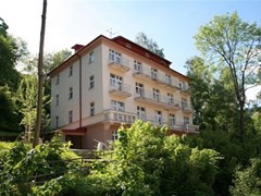 Dalibor1