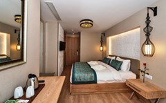 Aybar Hotel - photo 21