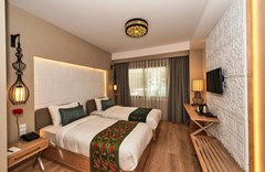 Aybar Hotel - photo 10