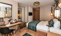 Aybar Hotel - photo 13