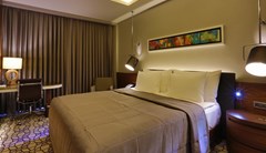Royal Stay Palace - photo 1