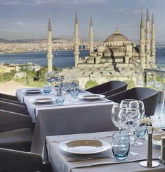 Arcadia Blue Istanbul Hotel - photo 22