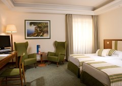 Royal Continental - photo 12