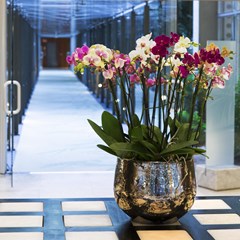 Nh Torino Lingotto Congress - photo 22