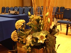 Pacific Fortino - photo 11
