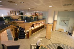 Pacific Fortino - photo 13