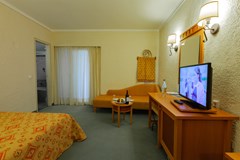 Athos Palace Hotel - photo 78