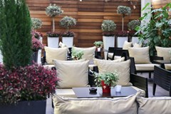 The Y Hotel: Terrace - photo 7