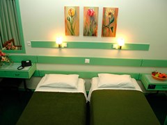 Amalia Hotel - photo 3