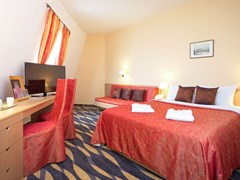 Novotel Moscow Centre: Room DOUBLE EXECUTIVE - photo 12