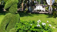 Sea Galaxy Hotel Congress & Spa - photo 5