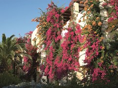 Creta Royal Hotel - photo 11