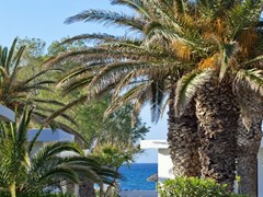 Civitel Creta Beach  - photo 6
