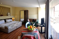 Tekla Palace Boutique Hotel - photo 12