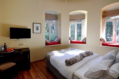 Tekla Palace Boutique Hotel - photo 9