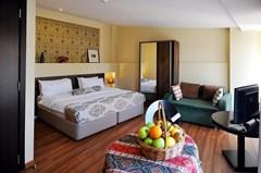 Tekla Palace Boutique Hotel - photo 11