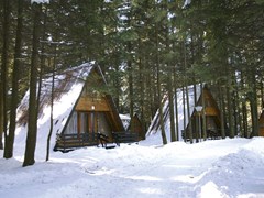 Villas Yagoda & Malina - photo 13