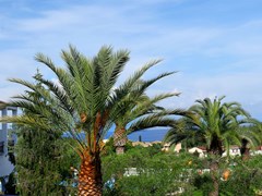 Paradise Hotel Corfu - photo 3