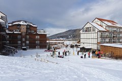 Mgzavrebi Bakuriani Hotel - photo 2