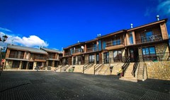 Mgzavrebi Bakuriani Hotel - photo 14