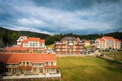 Mgzavrebi Bakuriani Hotel - photo 16