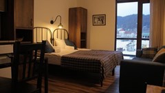 Mgzavrebi Bakuriani Hotel - photo 26