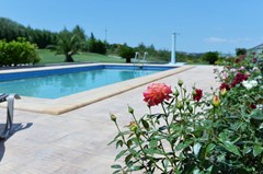 Villa Dream - photo 1