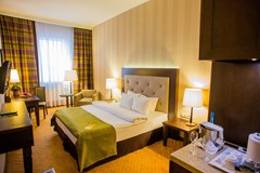 Petro Palace Hotel: Room DOUBLE SINGLE USE EXECUTIVE - photo 25