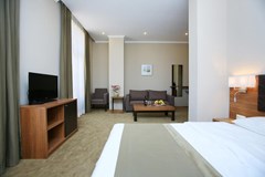 Tskaltubo Plaza Hotel - photo 2