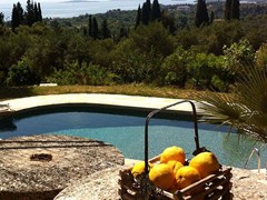 Villa Elea - photo 14