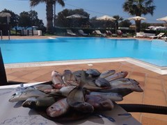 Maltezana Beach Hotel - photo 11