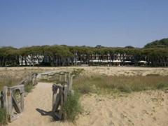 Bellevue Hotel & Resort - photo 11