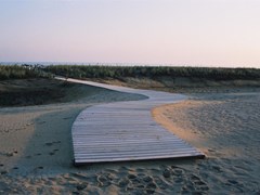Bellevue Hotel & Resort - photo 9