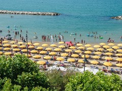 Bajamar Hotel - photo 6