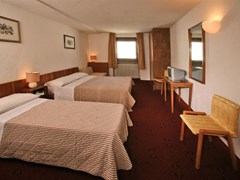 Lo Stambecco Hotel - photo 8