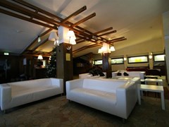 Lo Stambecco Hotel - photo 3