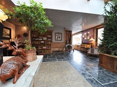 Bucaneve Hotel - photo 4