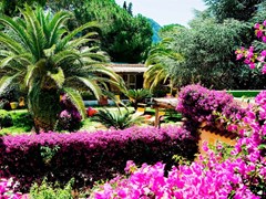 Terme Villa Angela Hotel - photo 3