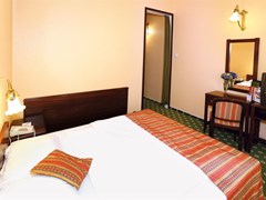 Palatinus City Center Hotel - photo 3