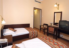 Palatinus City Center Hotel - photo 6