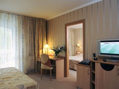 Mendan Magic Spa and Wellness Hotel - photo 6