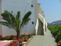 Kasapakis Hotel - photo 6