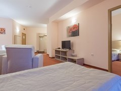 Orpheus Hotel - photo 43
