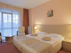 Orpheus Hotel - photo 49