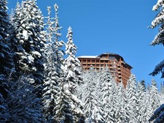 Orlovetz Hotel - photo 2